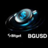 BGUSD новый стабильный актив с доходностью